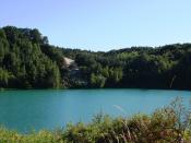 dsc03016_t1.jpg